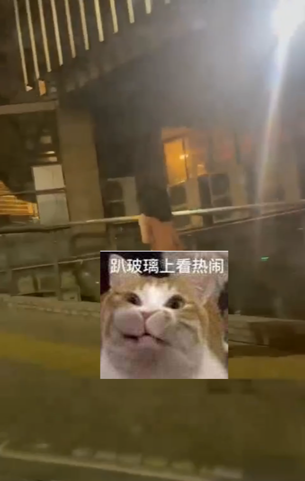🍉主朲的任务??-次元资源站